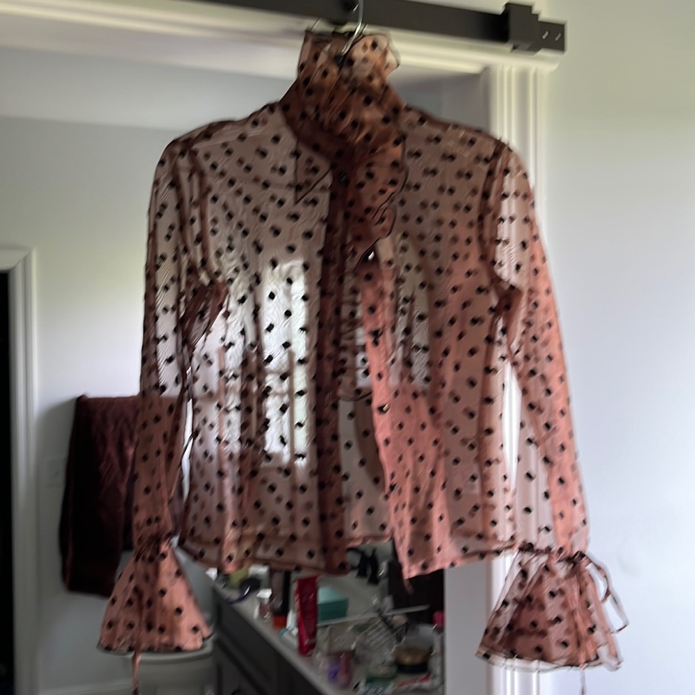 Brown see through with black velvet pol a dots